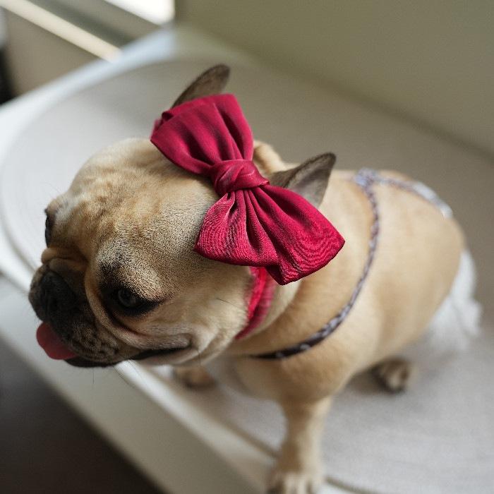 犬 ヘアバンド ドッグアクセサリー 犬用 蝶ネクタイ おしゃれ 可愛い