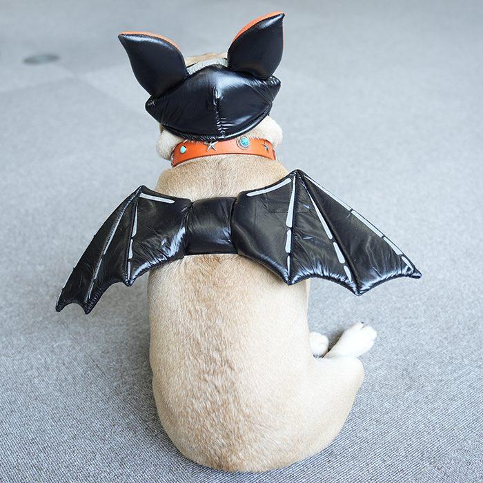 犬 ハロウィン コスプレ 帽子 羽 セット おもしろ 衣装 マジックテープ