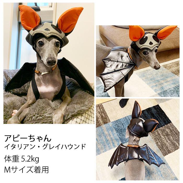 犬 ハロウィン コスプレ 帽子 羽 セット おもしろ 衣装 マジックテープ