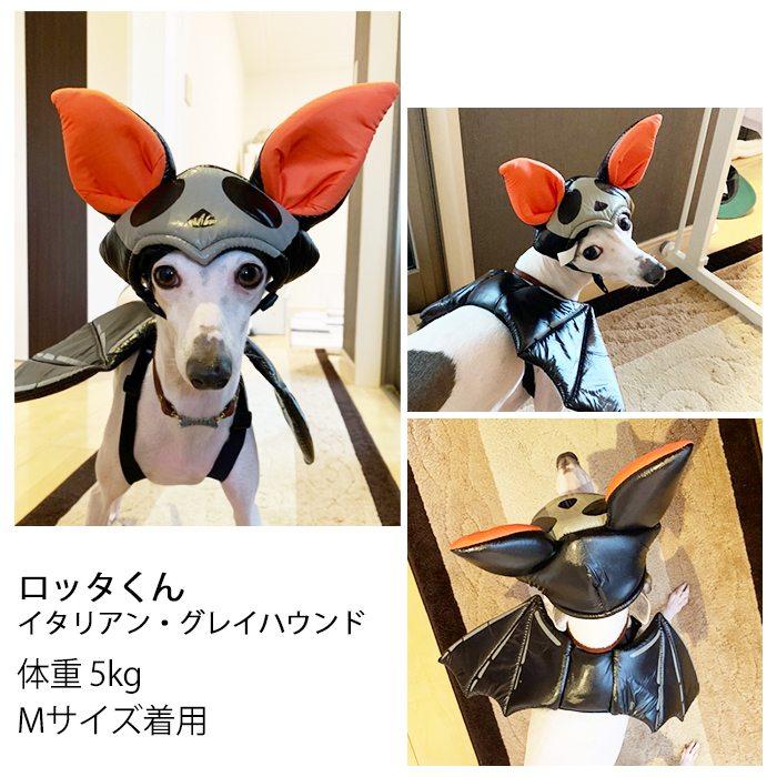 犬 ハロウィン コスプレ 帽子 羽 セット おもしろ 衣装 マジックテープ