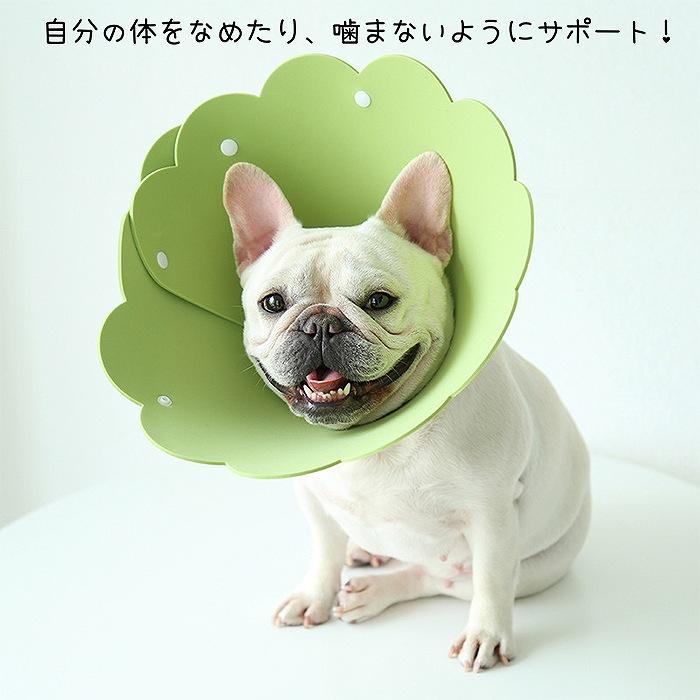 犬 猫 ペット エリザベスカラー スポンジ製 ソフトエリザベス
