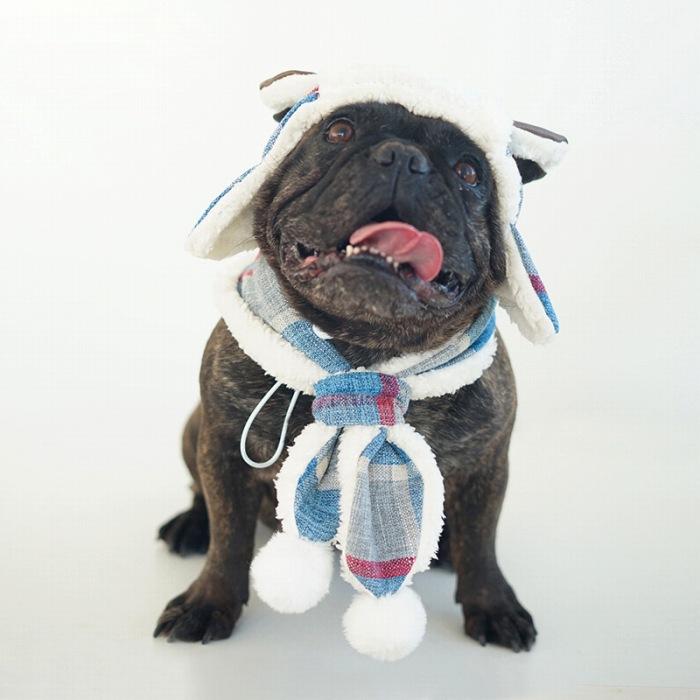 犬 秋冬 帽子 マフラー 2点セット ペット アクセサリー チェック柄
