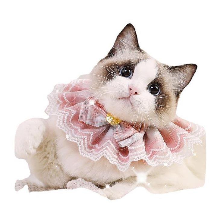猫・小型犬 リボン 首輪 かわいい インスタ映え チョーカー パーティー