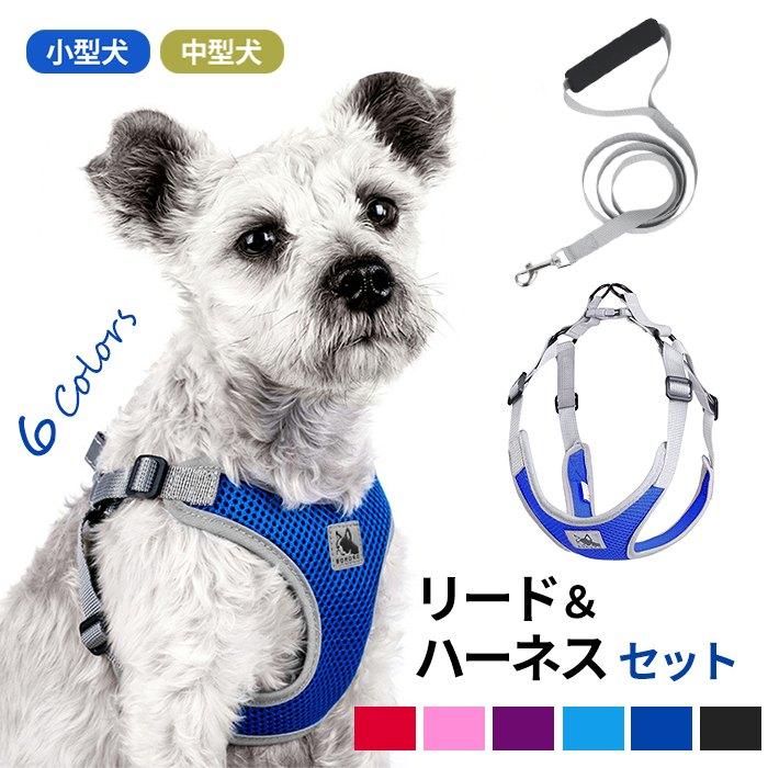 ハーネス リード セット 犬 小型犬 犬用 リードセット リード付き 痛く