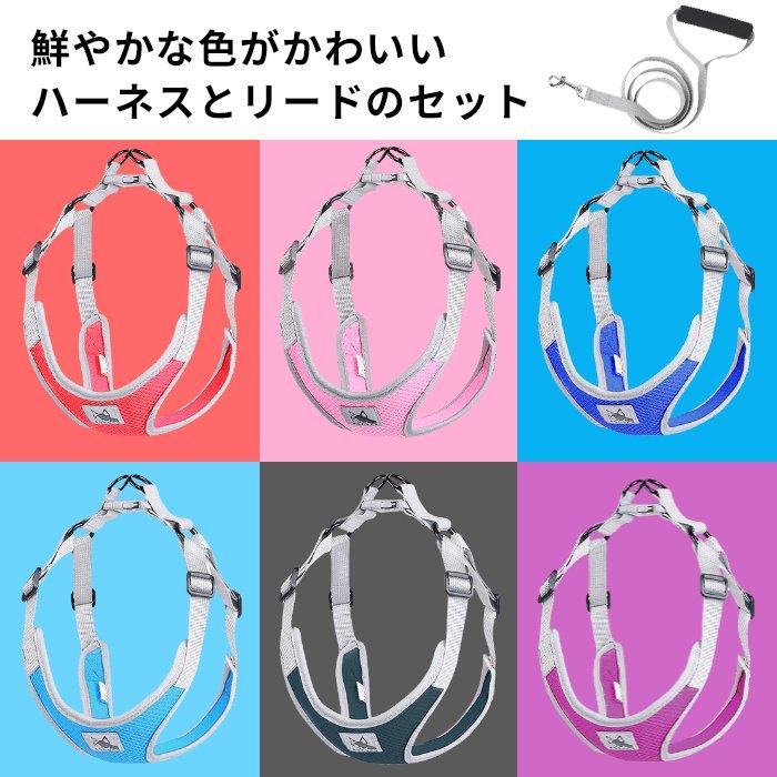 ハーネス リード セット 犬 小型犬 犬用 リードセット リード付き 痛く