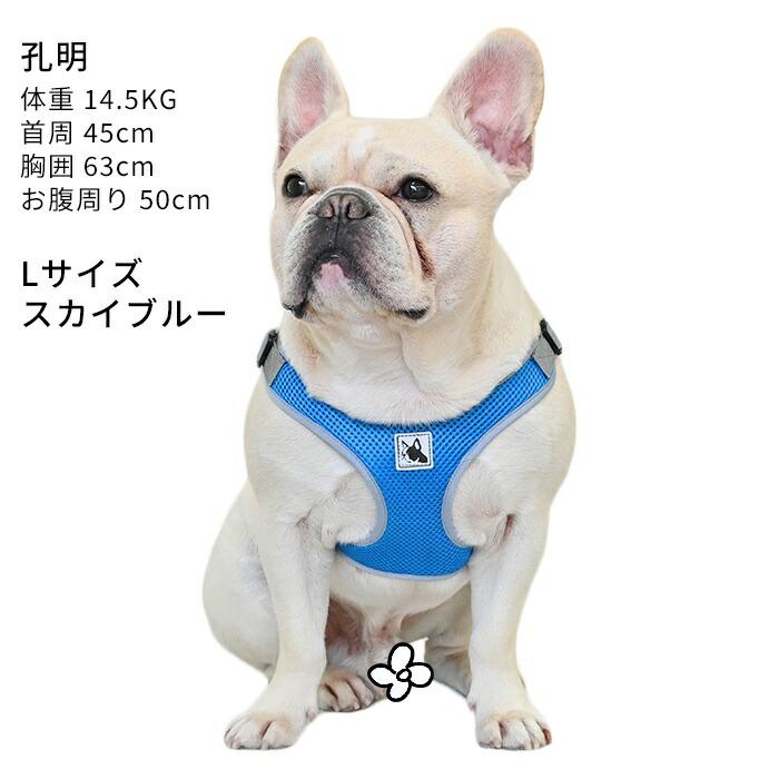 ハーネス リード セット 犬 小型犬 犬用 リードセット リード付き 痛く