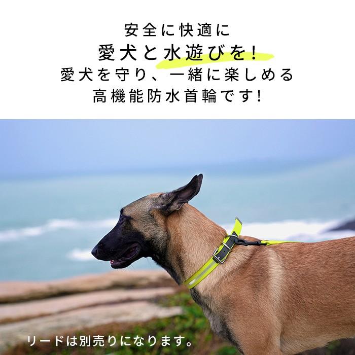 Truelove 防水首輪 犬 ウォータープルーフ首輪 犬用 首輪 ドッグ