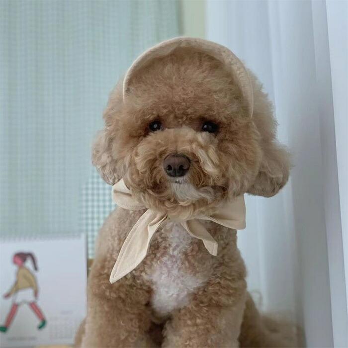 犬 サンバイザー 春 夏 帽子 アクセサリー 犬用 フレブル 日よけ