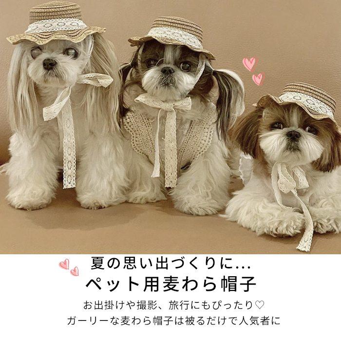 ペット用帽子 麦わら帽子 春 夏 帽子 アクセサリー 犬 犬用 フレブル