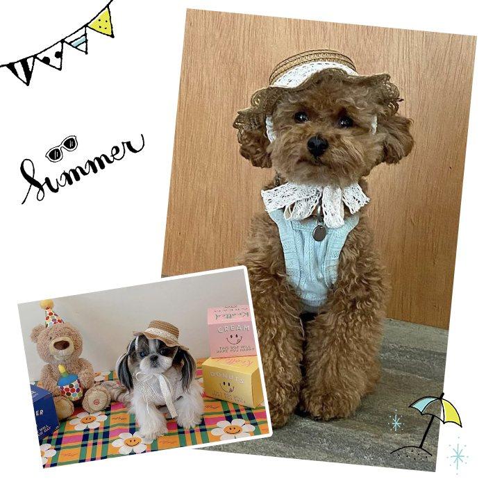 ペット用帽子 麦わら帽子 春 夏 帽子 アクセサリー 犬 犬用 フレブル