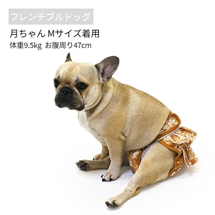 マナーパンツ 犬 犬用 メス マナーパンツカバー フリル 可愛い 女の子 生理パンツ マナーウェア ずれない 通気性抜群 かわいい おむつカバー KM805G | ブランド登録なし | 07