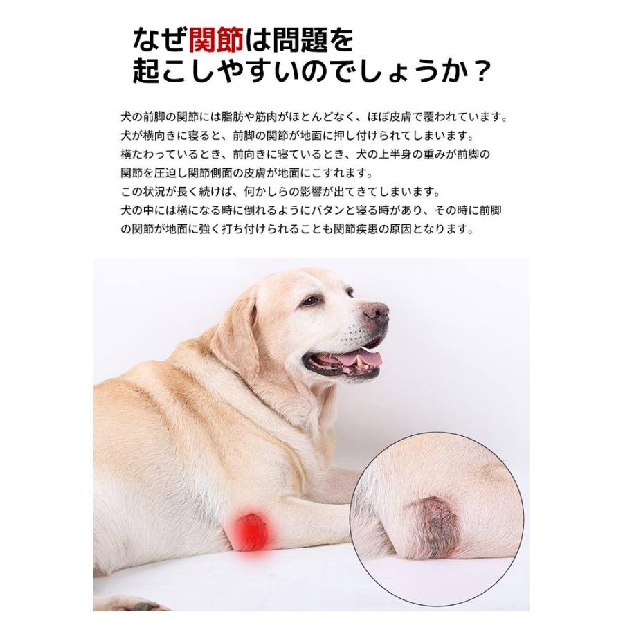 犬 サポーター 膝サポーター 犬用 老犬介護 介護用品 老犬 犬骨折治療