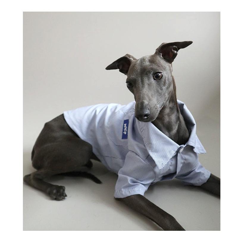 犬服 ベージュと黒のストライプ付きハイネック 犬服 ベージュと黒のストライプ付きハイネック - 犬服