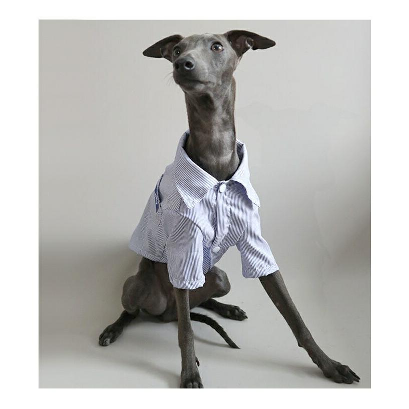 犬服 ストライプシャツ 細ストライプ ボタンシャツ ブラック ブルー 黒