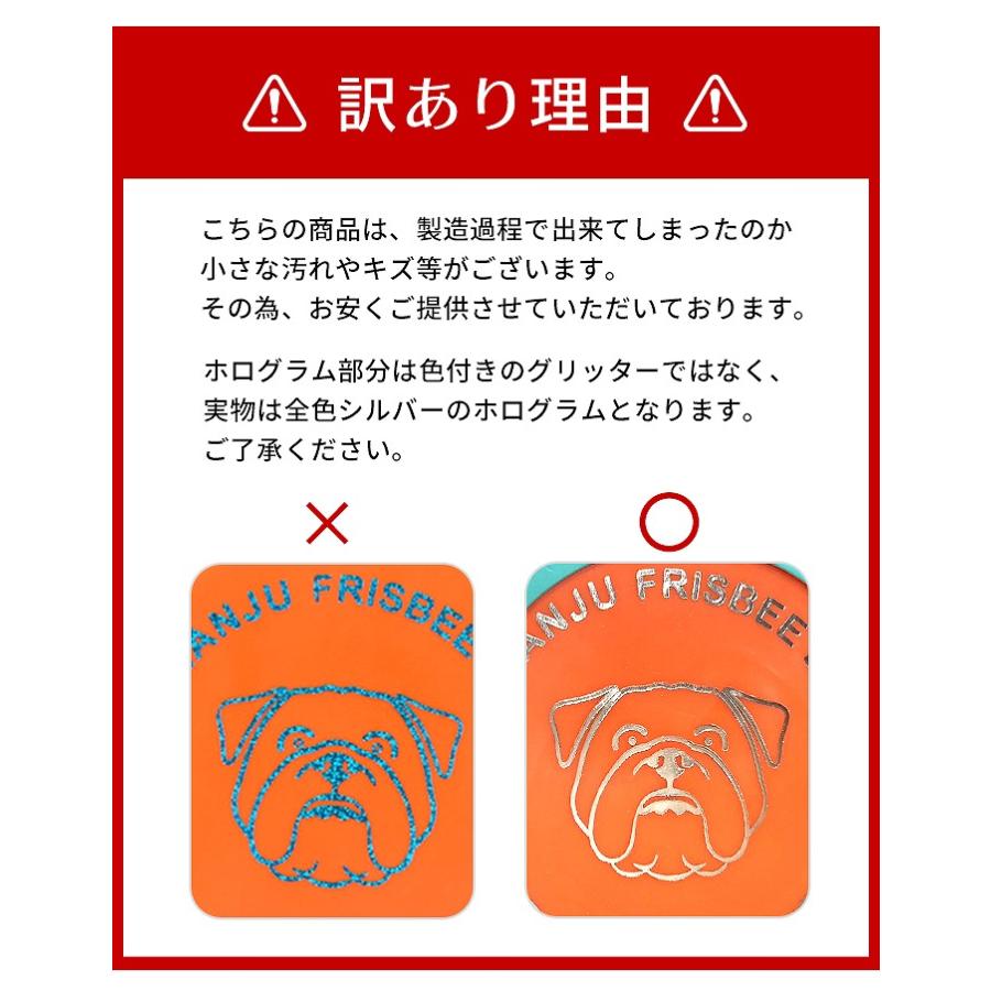 20枚セット　フライングディスク　23㎝　フリスビー　ドッグ　犬　おもちゃ　玩具 送料無料 犬 フリスビー ドッグフリスビー おもちゃ フライング