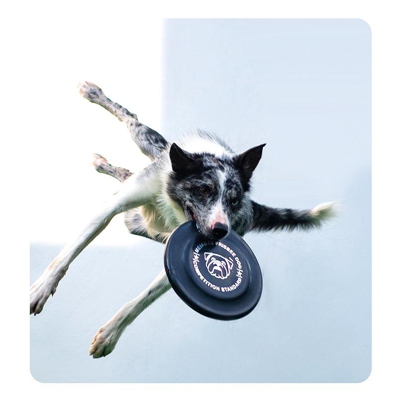 送料無料 犬 フリスビー ドッグフリスビー おもちゃ フライング