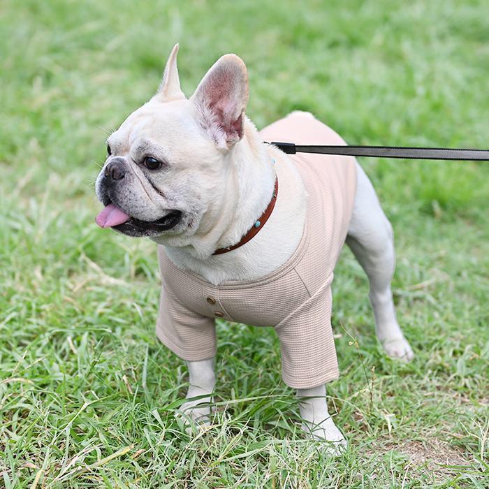 Msize ハートワッフルラグランmintフレブル服 パグ服 ハンドメイド犬服