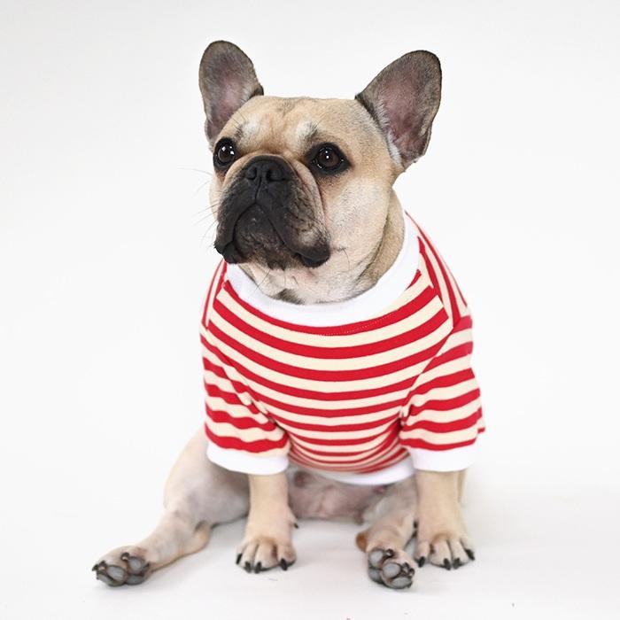 シンプルボーダーの犬の服 ボーダー Tシャツ 犬 犬服 フレンチブルドッグ 秋 冬 中型犬 小型犬