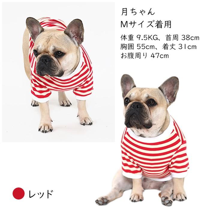 黒　白　ボーダーの犬の服 楽天市場】【 犬 服 ボーダー Tシャツ 】 鎌倉ボーダー's 鎌倉