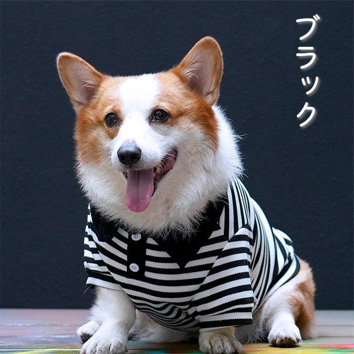 売り尽くし ラガーシャツ ボーダー 犬 犬服 フレンチブルドッグ 秋 冬
