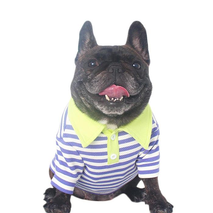 売り尽くし ラガーシャツ ボーダー 犬 犬服 フレンチブルドッグ 秋 冬