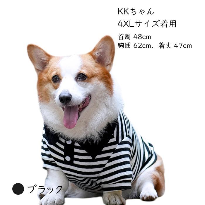 売り尽くし ラガーシャツ ボーダー 犬 犬服 フレンチブルドッグ 秋 冬