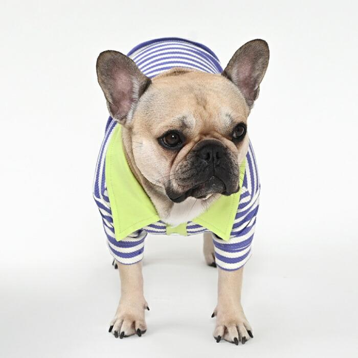 売り尽くし ラガーシャツ ボーダー 犬 犬服 フレンチブルドッグ 秋 冬