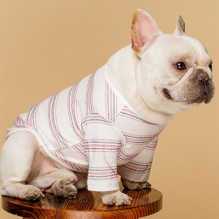 綿100％ ミシンステッチ風 犬 服 中型犬 フレンチブルドッグ ボーダー