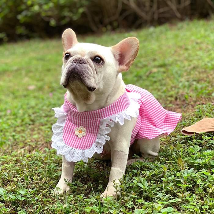 ハンドメイド　犬服 暖か❗キュートなピンクチェックフリルワンピース CanNana 犬 犬服 春 レトロいちごタータンチェックワンピース チュール