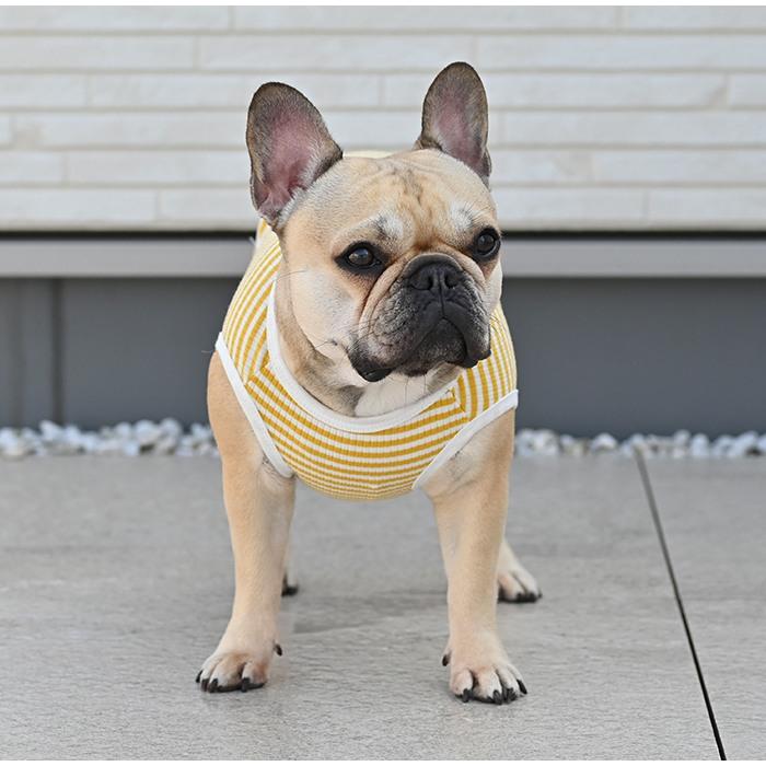 犬服 春 夏 タンクトップ ボーダー スマイル フレンチブルドッグ パグ