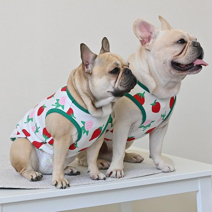 犬服あったかボアタンクトップイチゴ　見本 犬服あったかボアタンクトップイチゴ見本