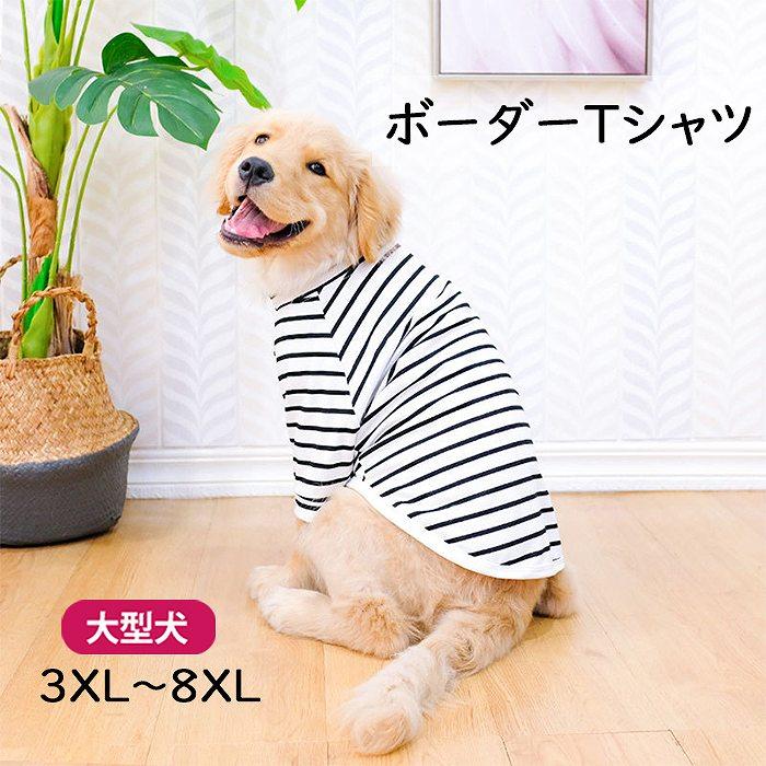 犬服 大型犬 大きめサイズ ゴールデンレトリバー プードル 半袖 T