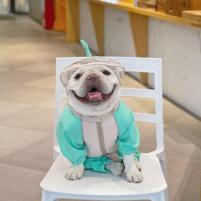 犬 レインコート 中型犬 フレンチブルドッグ パグ 柴犬 雨 散歩 グッズ