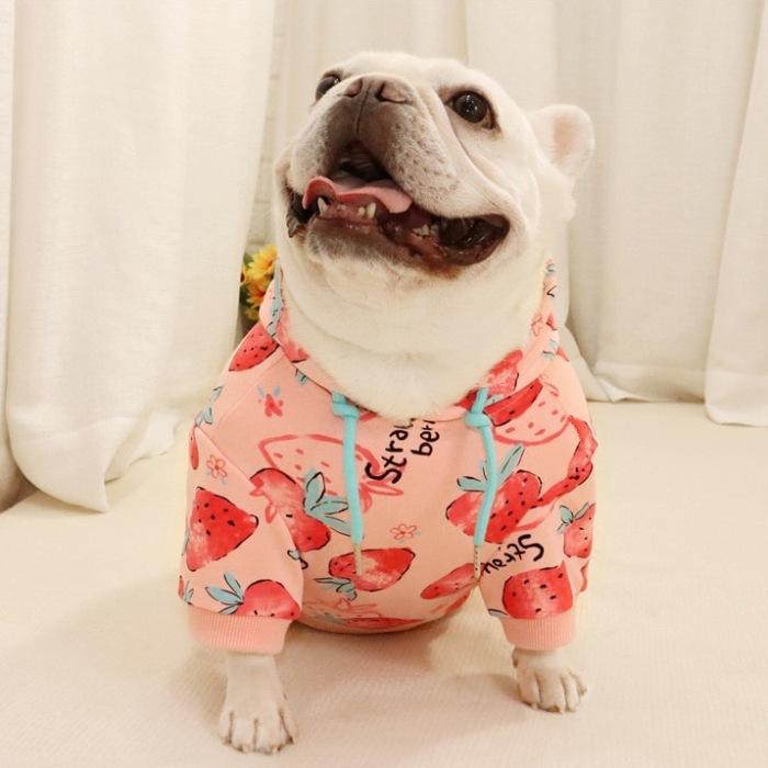 フレンチブルドッグ ペット 犬 服 秋冬 中型犬 イチゴ イチゴ柄 苺