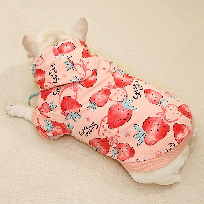 フレンチブルドッグ ペット 犬 服 秋冬 中型犬 イチゴ イチゴ柄 苺