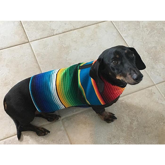 フレンチブルドッグ ペット カラフル おしゃれ 服 春 秋 冬 厚手