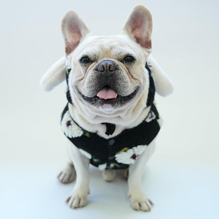 フレンチブルドッグ フレブル 犬服 花柄 ベスト ジャケット 帽子付き