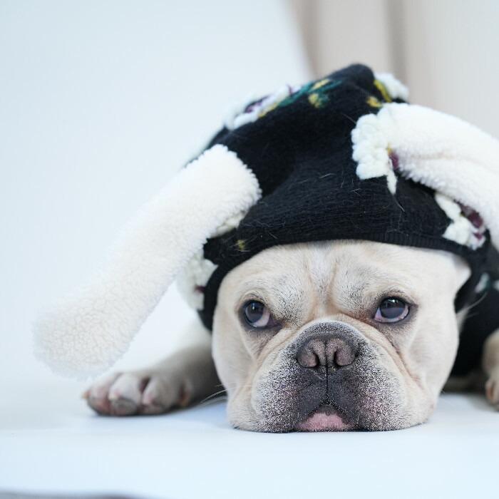フレンチブルドッグ フレブル 犬服 花柄 ベスト ジャケット 帽子付き