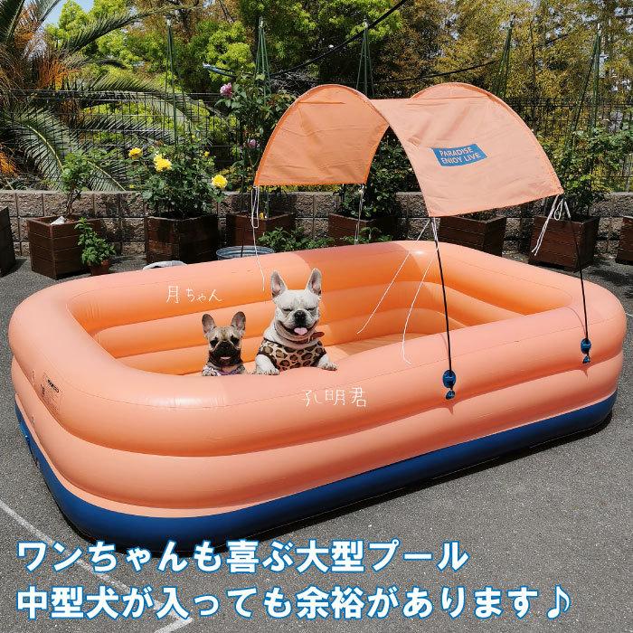 売り尽くし 動画あり ビニールプール 大型 大型プール インスタ