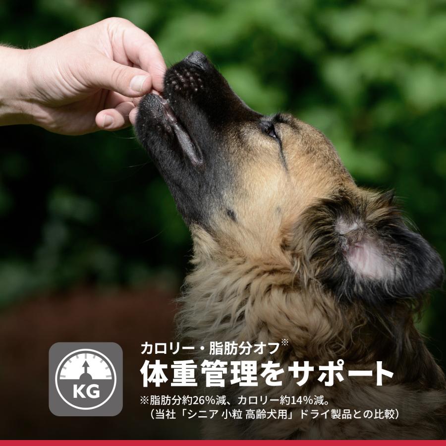 サイエンス・ダイエット [日本ヒルズ] シニアライト 小粒 肥満傾向の