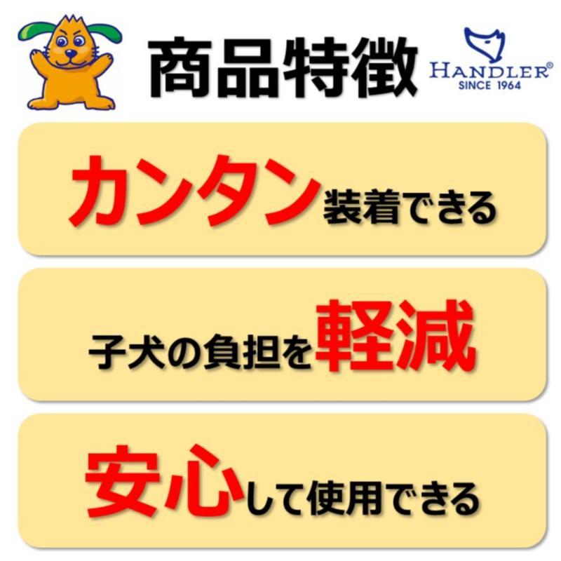 ［アース・ペット ターキー］ハンドラー パピージェット首輪付リード 青 台湾 | HANDLER | 02