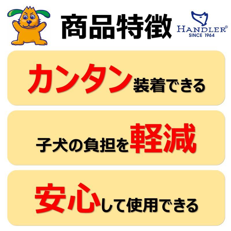 ［アース・ペット ターキー］ハンドラー パピーバグ首輪付リード グリーン 台湾 | HANDLER | 02