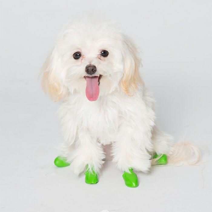12枚 TINY PAWZ ドッグブーツ 12足入り 超小型犬 小型犬用 犬の靴