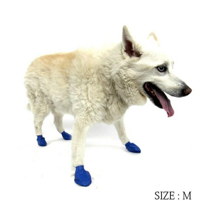 ドッグフード m 5%お得 ドッグフード マグロ缶【鮪】 [70g×5個] ウェットタイプ