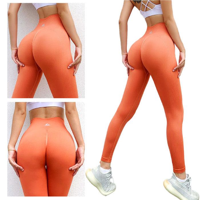 ジムシャークXSセットalo yogaジムluluヨガ美尻 GYMSHARKジムシャークXSセットalo yogaジムluluヨガ美尻