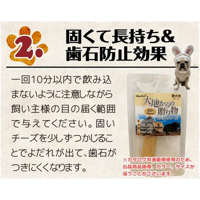 Amazon.co.jp: ペットプロ 猫用おやつ HappyDays 大地からの贈り物 ヤクチーズ ハード S 1本入り : ホーム＆キッチン ペットプロ HappyDays 大地からの贈り物 ヤクミルクチーズ スティック 3本入 (S) 3個セット まとめ売り