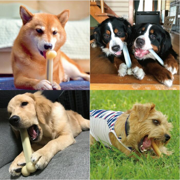 ターキー入りマラボー　太　1本 ターキー入りマラボー 太 1本