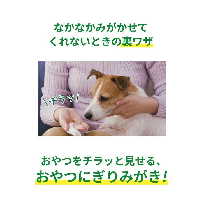 ライオン PETKISS 指サック歯みがきシート 指型 歯みがき ウェットタイプ 犬 猫 ネコ ペット ペット用品 歯みがきケア 日本製 TK026G |  | 06