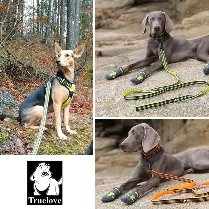 Truelove（トゥルーラブ） 犬 リード 2M 犬用 小型犬 中型犬 大型犬