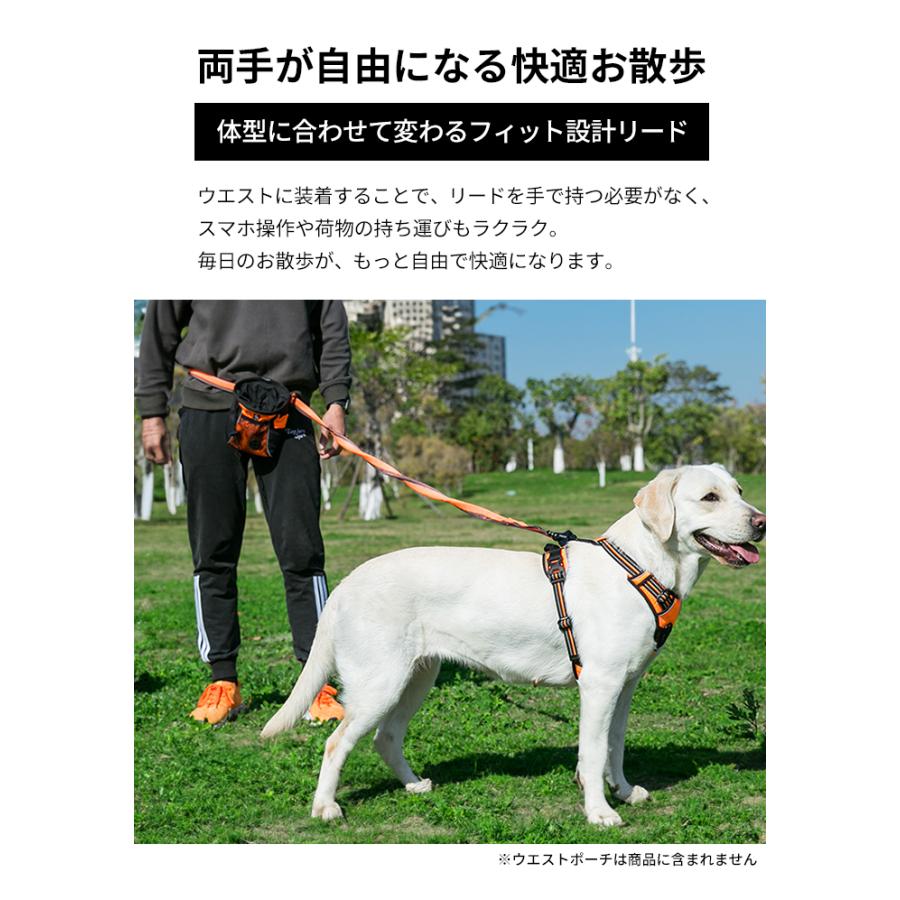 Truelove（トゥルーラブ） 犬 リード ウエストリード Mサイズ